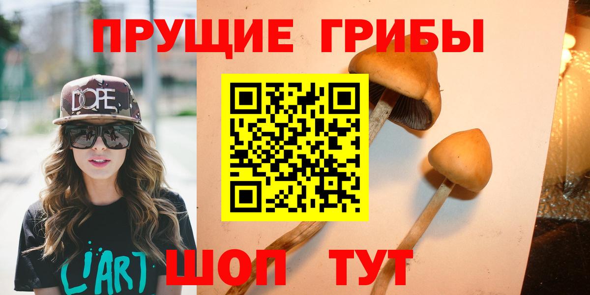 Псилоцибиновые грибы прущие грибы  Вход с VPN  Псилоцибиновые грибы мухоморы  Минеральные Воды 